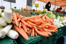 Bildergalerie Wochenmarkt Gemüsestand auf dem Wochenmarkt Frische Karotten gibt es am Gemüsestand