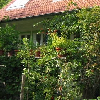 Naturnaher Balkon