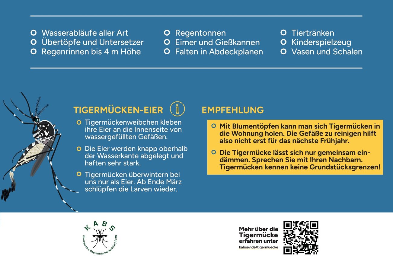 Brustättenbekämpfung im Herbst