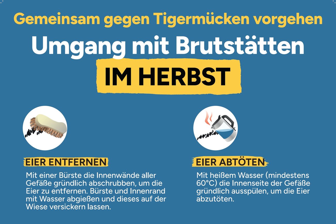 Brutstättenbekämpfung im Herbst