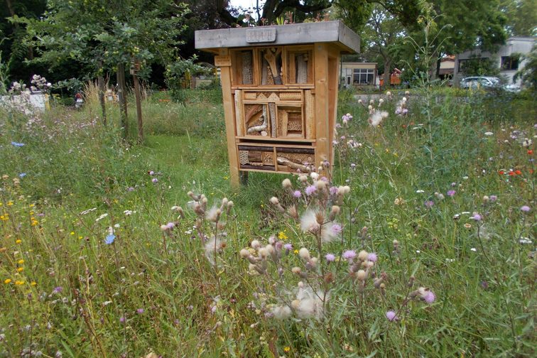 Hotel di insetti su un prato fiorito