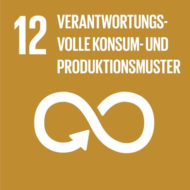 Eines von 17 Zielen: Sustainable Development Goal 12 (SDG 12)