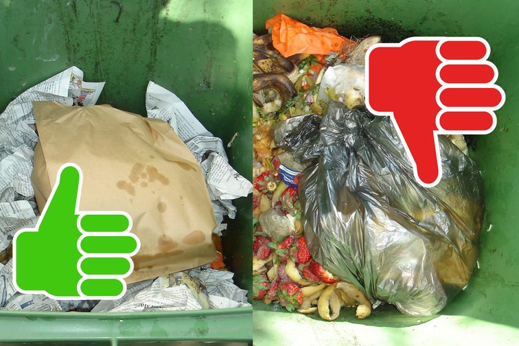Un exemple de poubelle bio correctement et incorrectement remplie