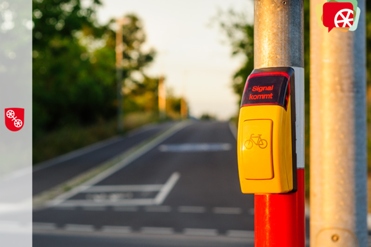 Anforderungstaster für Fahrräder an Ampel vor Straße im Sonnenlicht