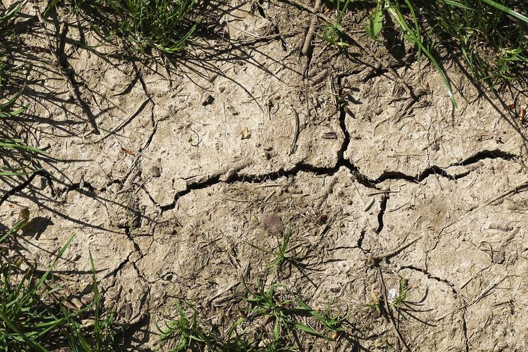 Trockenheit verdichtet den Boden