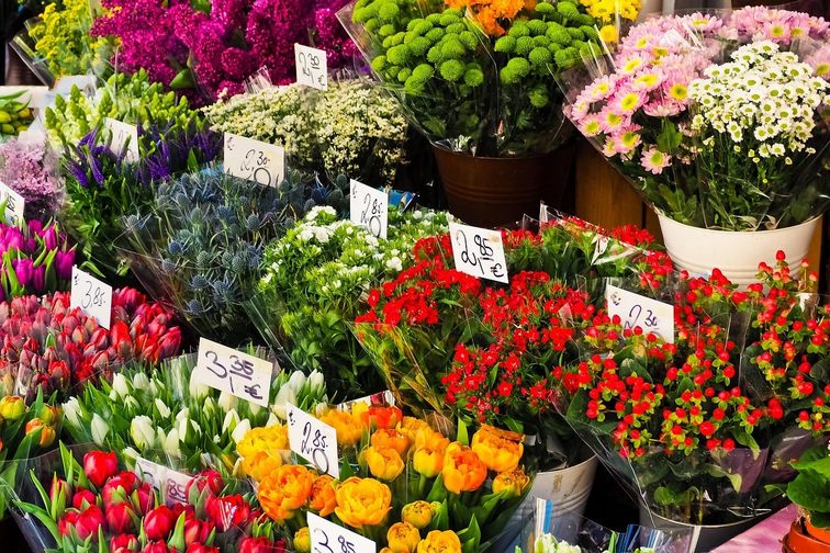 Beliebte Schnittblumen - doch woher kommen sie?