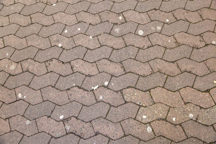 _imageLink.sp_imageText.trim