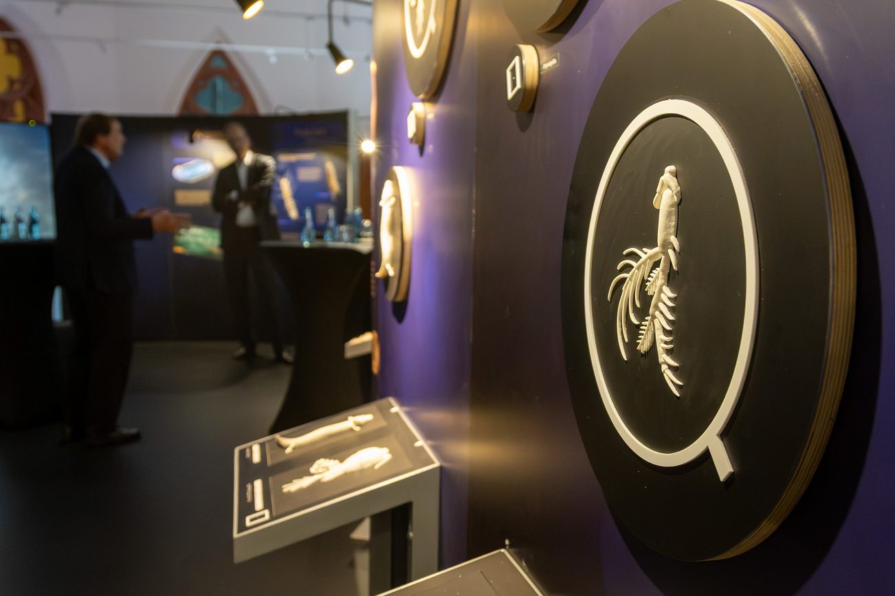Im Vordergrund ein Reliefs eines Lebewesens des Grundwassers, im Hintergrund in der Unschärfe Menschen in der Ausstellung