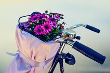 Fahrrad mit Blumen im Korb
