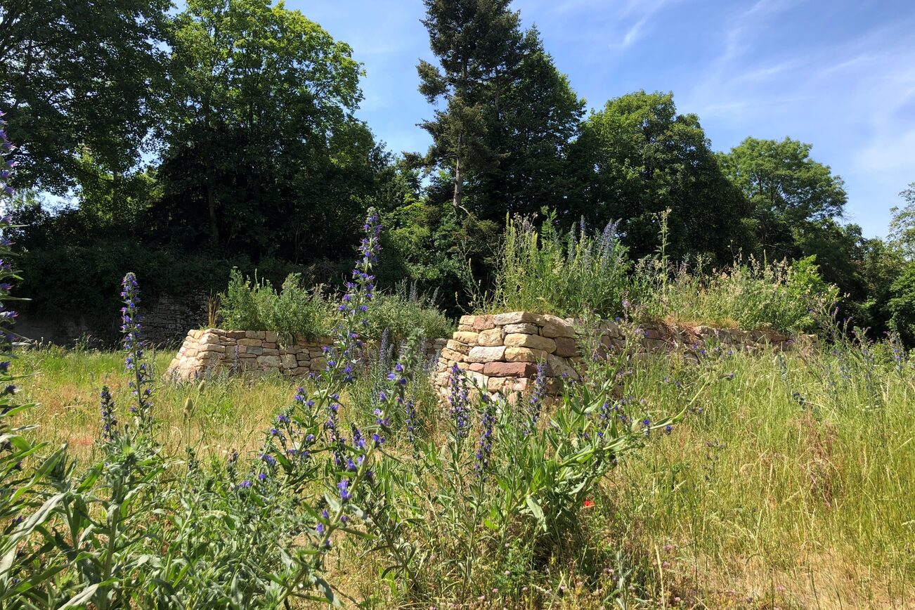 Zitadelle Trockenmauer und Wildstauden