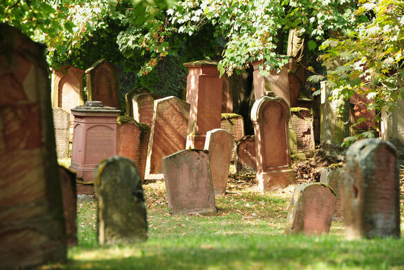 Grabsteine auf dem Denkmalfriedhof.