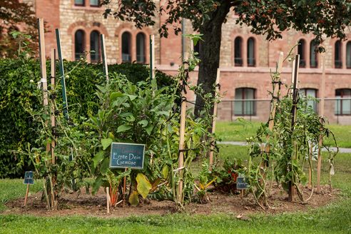 Jardinage urbain sur la place Romano-Guardini