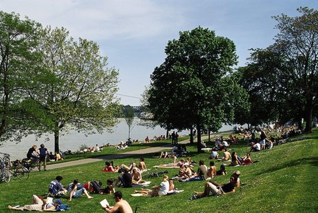 Menschen liegen am Rhein in der Sonne