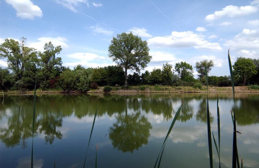Laubenheimer Ried Landeshauptstadt Mainz