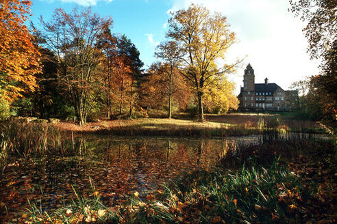 Замок Вальдтхаузен у лісі Леннеберг