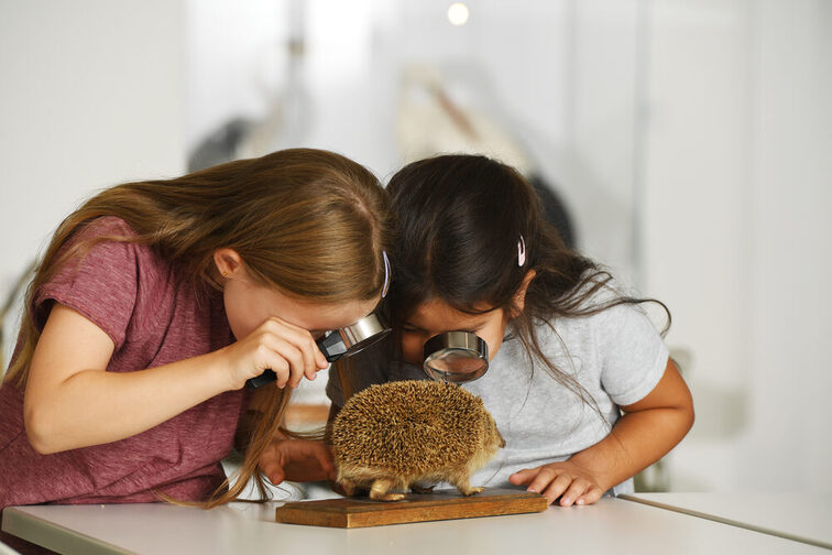 Zwei Forschende Kinder