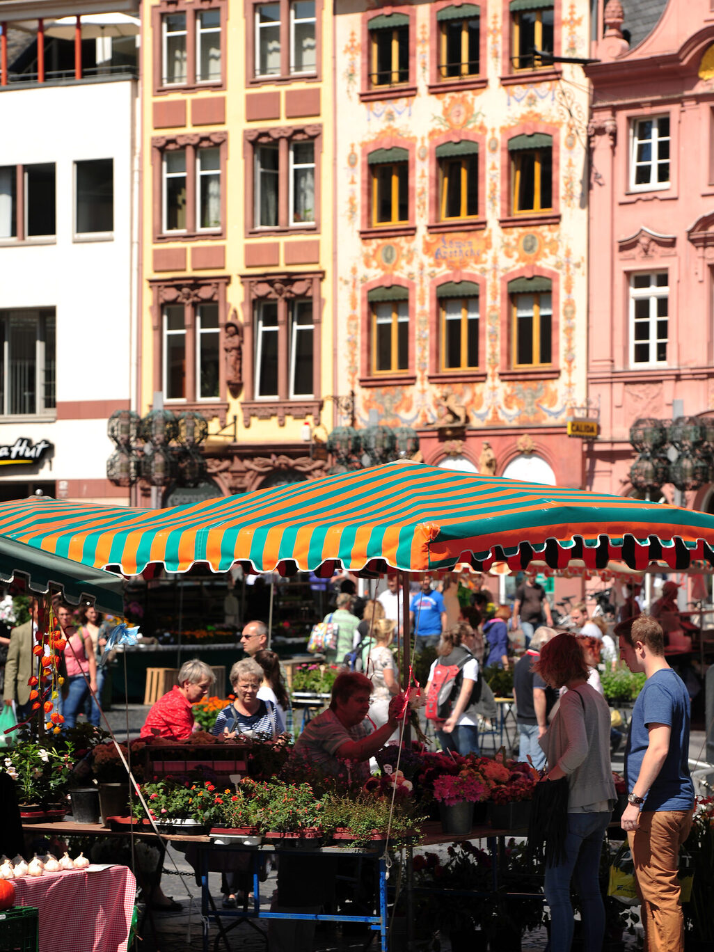Wochenmarkt auf dem Domplatz