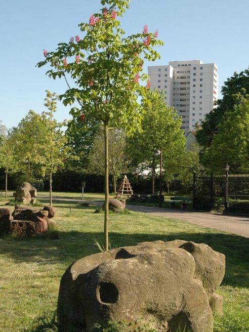 Teren zielony w Münchfeld