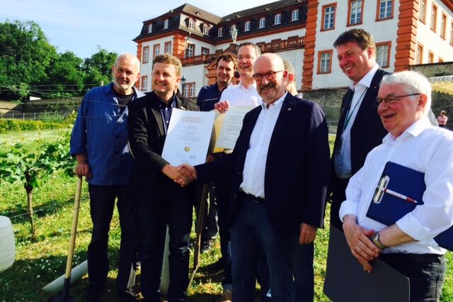 Pflanzung der Ältesten Rebe auf dem Mainzer Prominentenweinberg.