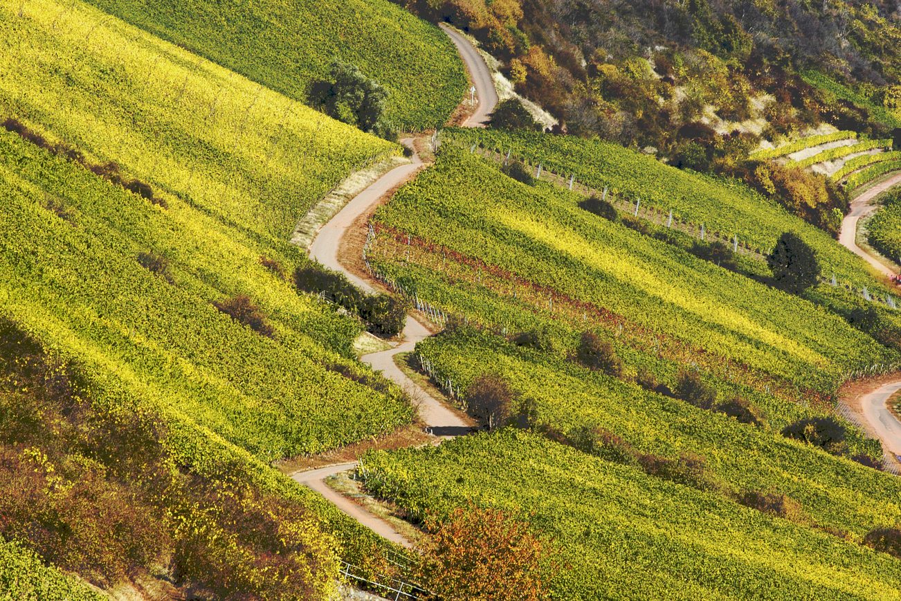 Pente rouge à Nierstein