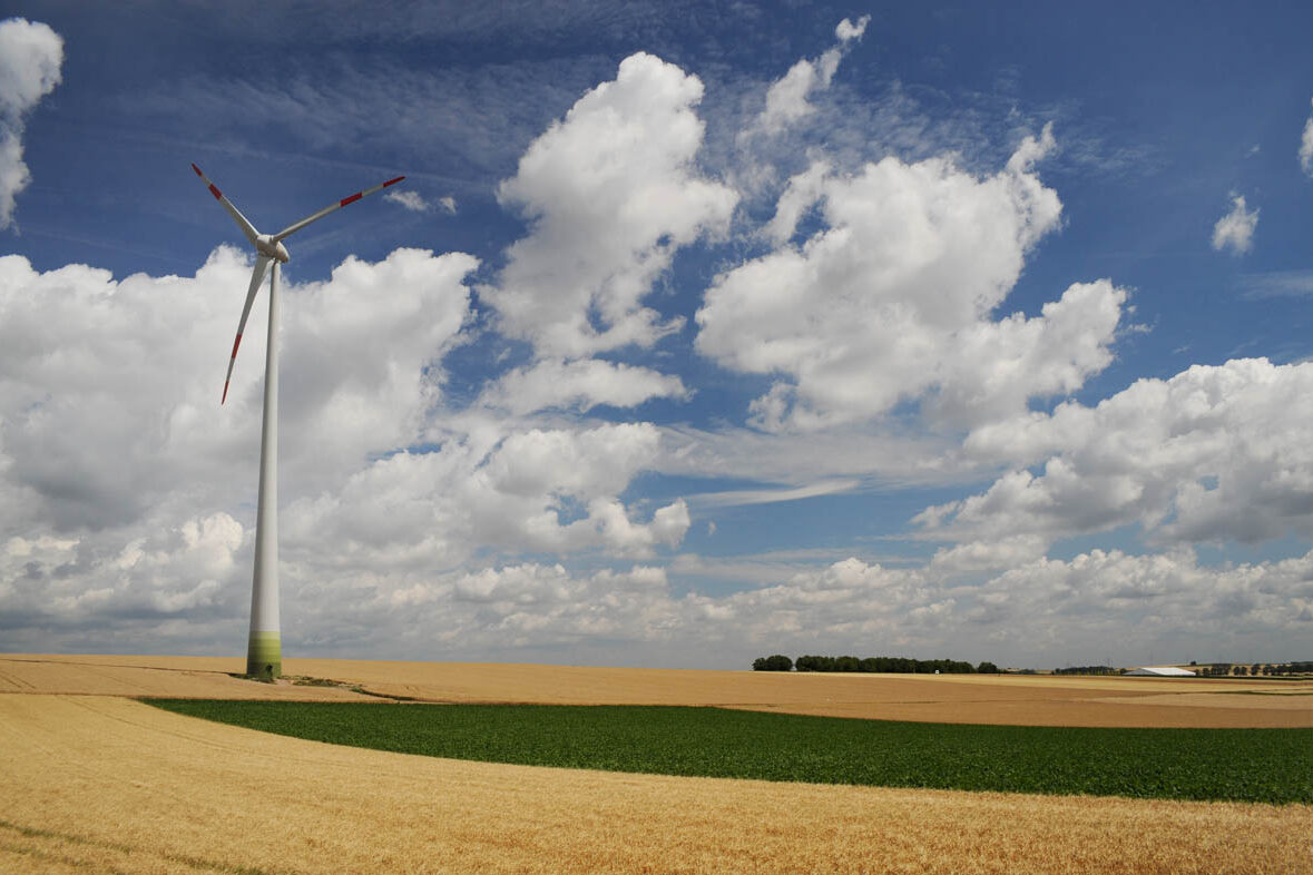 Feld mit Windrad (Wirtschaftspark Süd)