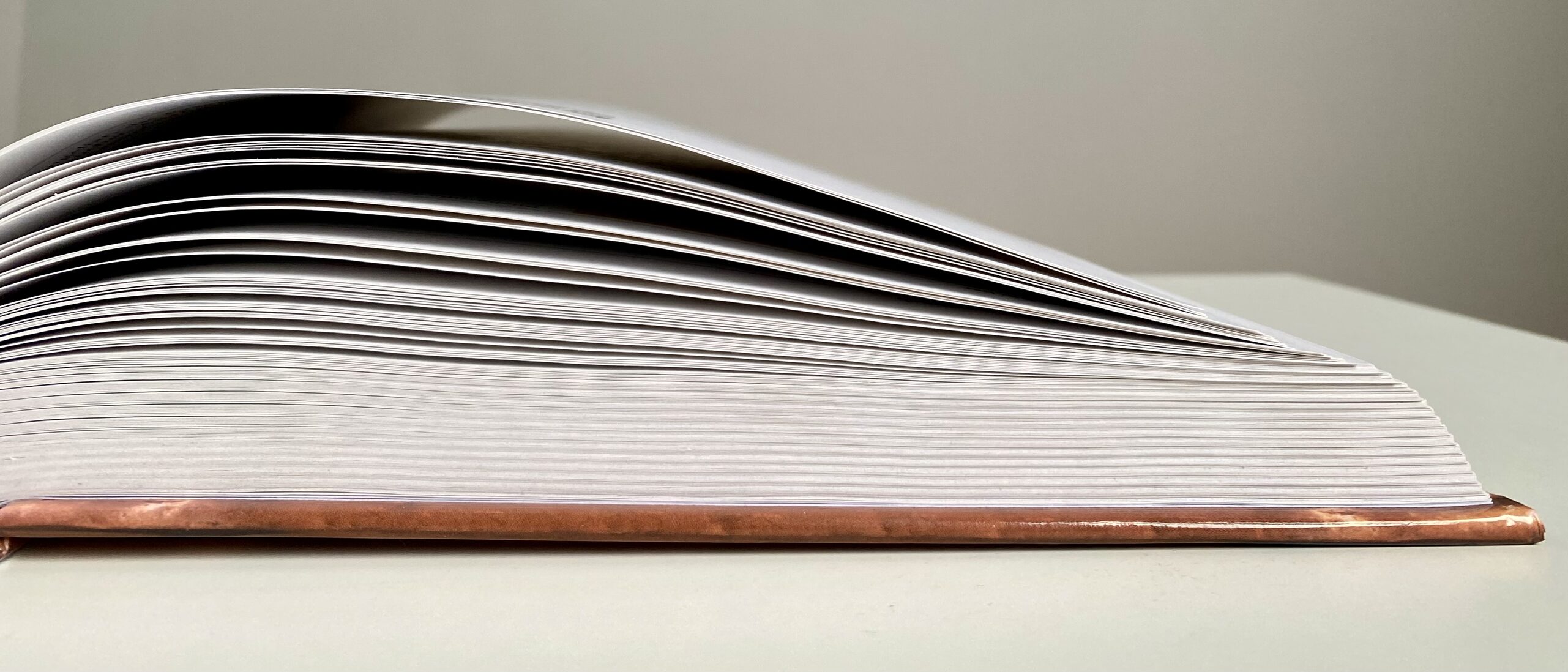 aufgeschlagenes Buch