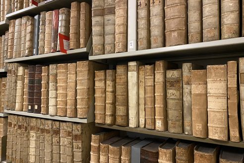 Libri sugli scaffali