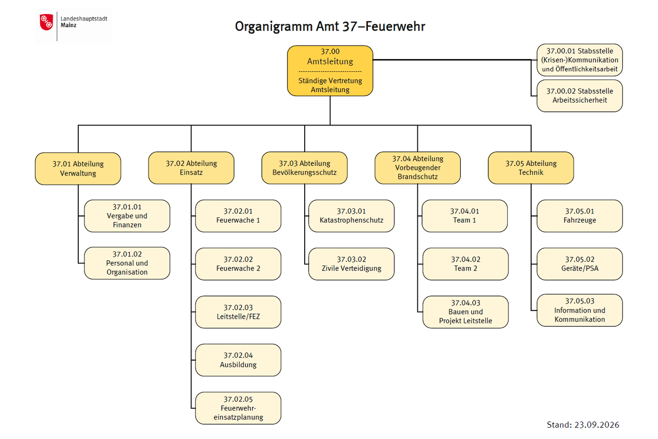 Organizasyon şeması