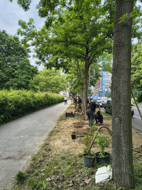 Fichteplatz Bitki Yetiştirme Atölyesi