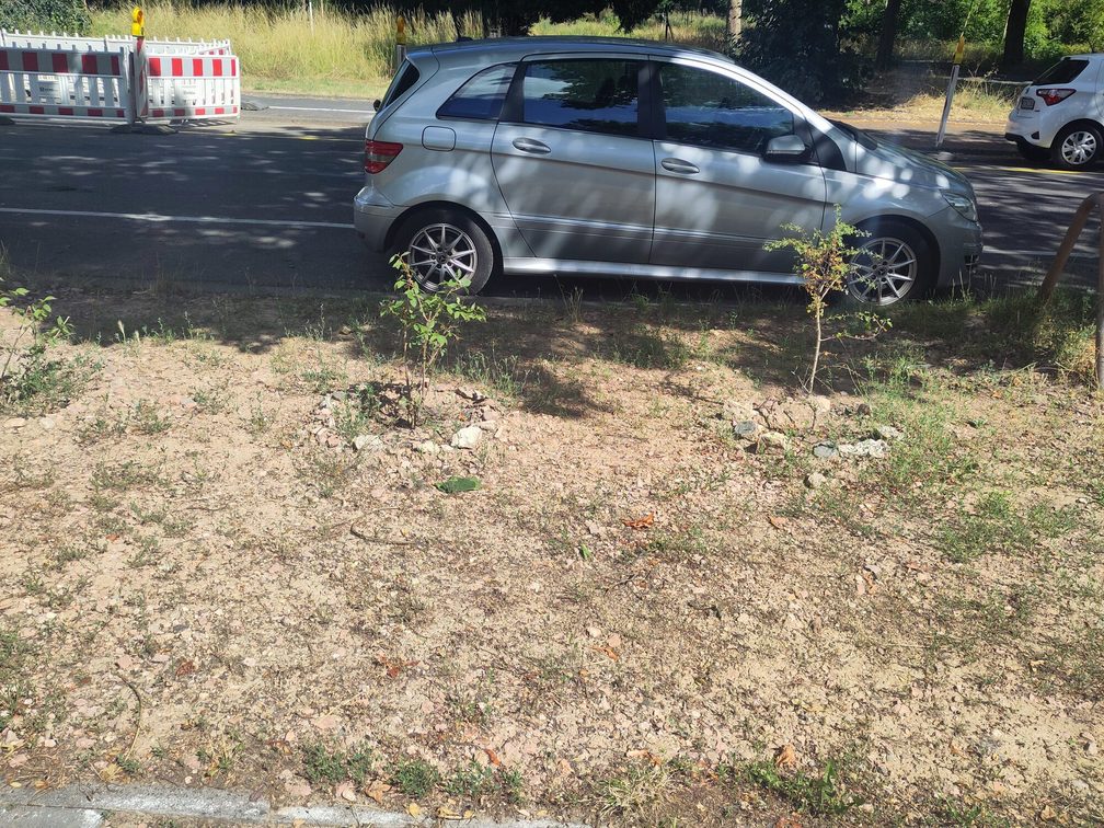 Fichteplatz Bitki Yetiştirme Atölyesi