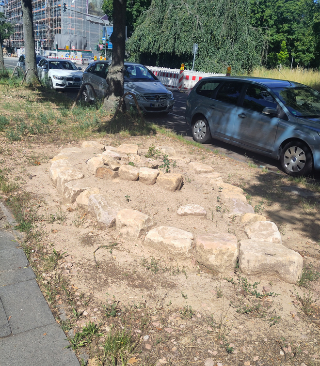Fichteplatz Bitki Yetiştirme Atölyesi