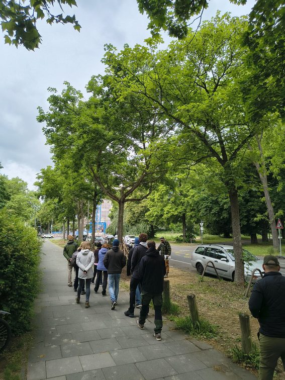 Fichteplatz Bitki Yetiştirme Atölyesi
