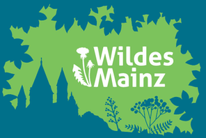Wildes Mainz © nhmMz