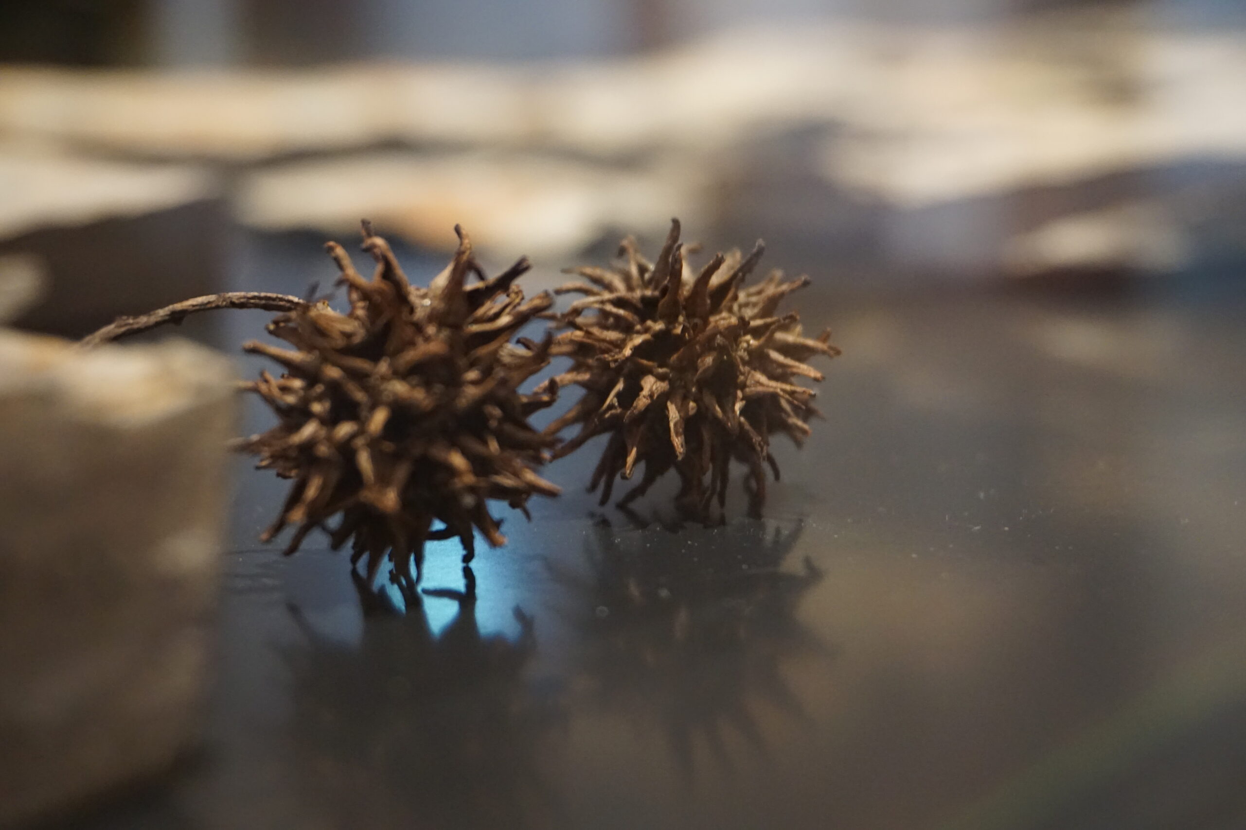 Teaser Team und Jobs