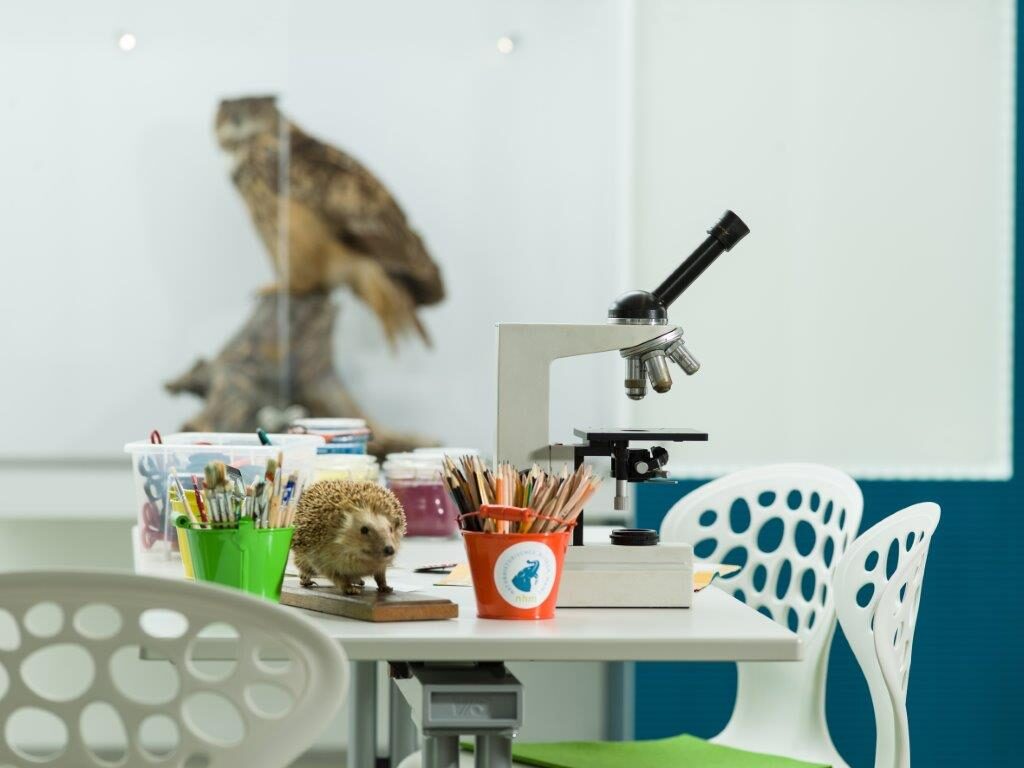 Naturhistorisches Museum Mainz