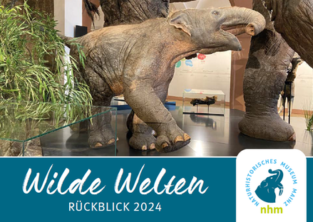Wilde Welten Rückblick 2023.