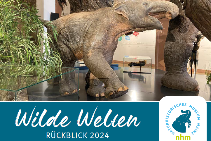 Wilde Welten Rückblick 2024