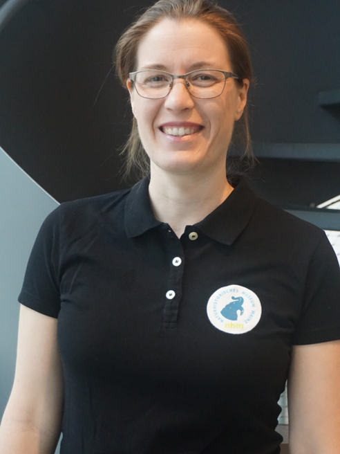 Ulrike Nies