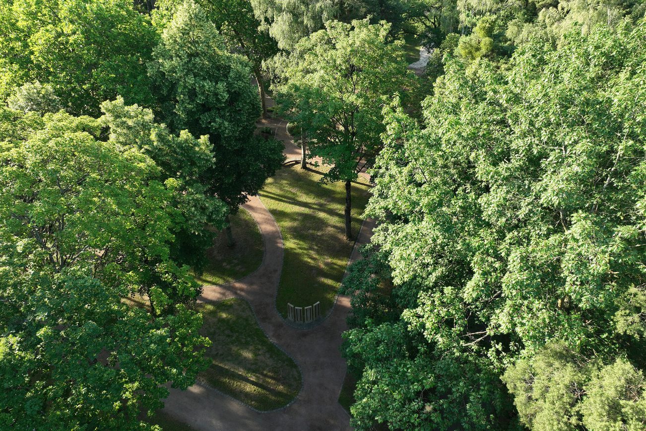Pradera de siembra