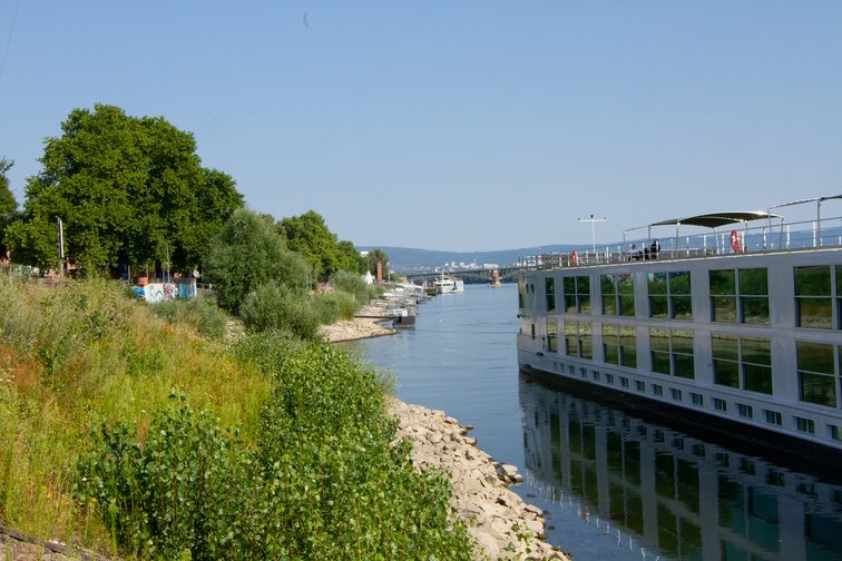 Widok na przystanie