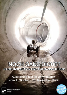 Bild zeigt das Plakat zur Ausstellung