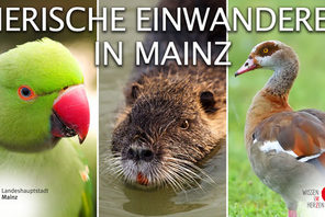 Titel Tierische Einwanderer © Landeshauptstadt Mainz