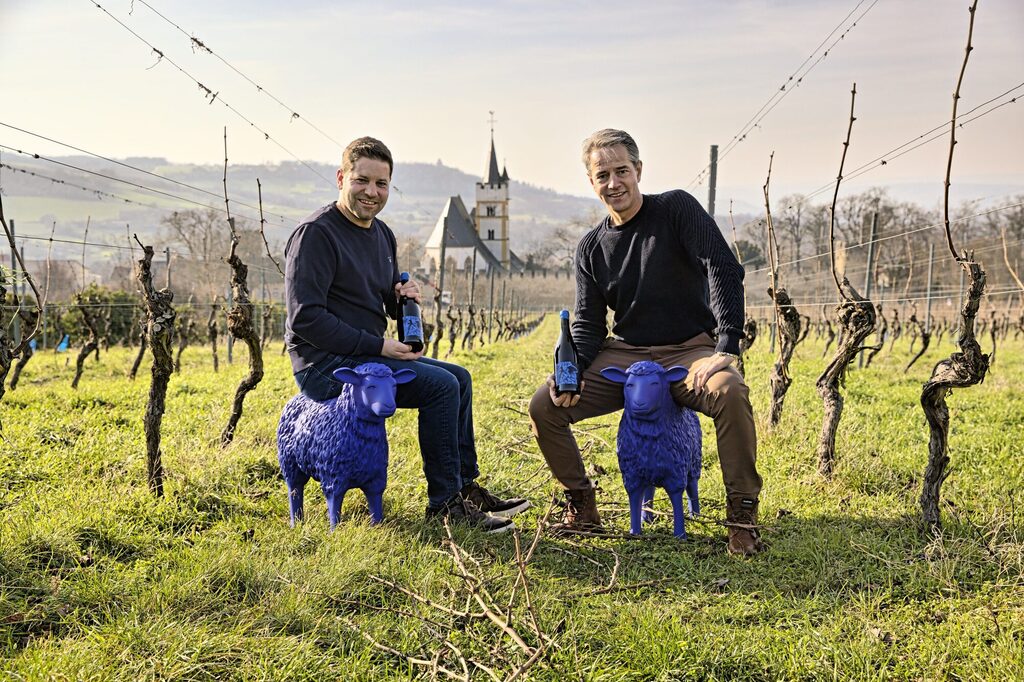 Bildmotiv2 GWC Weingut K.&K Dautermann Ingelheim