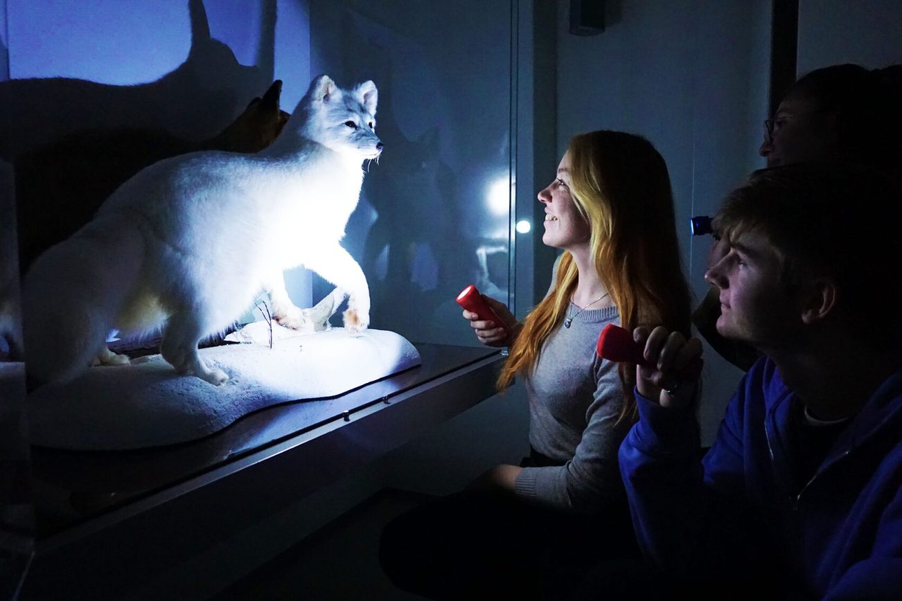 Image : « Allumez la lumière » – Visites guidées à la lampe de poche au musée