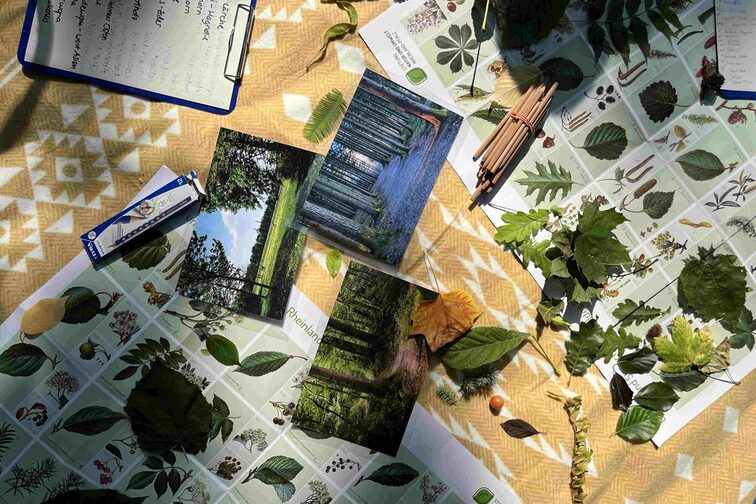 Baumplakate und Bildungsmaterialien