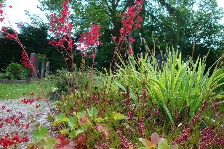 Tombe proche de la nature