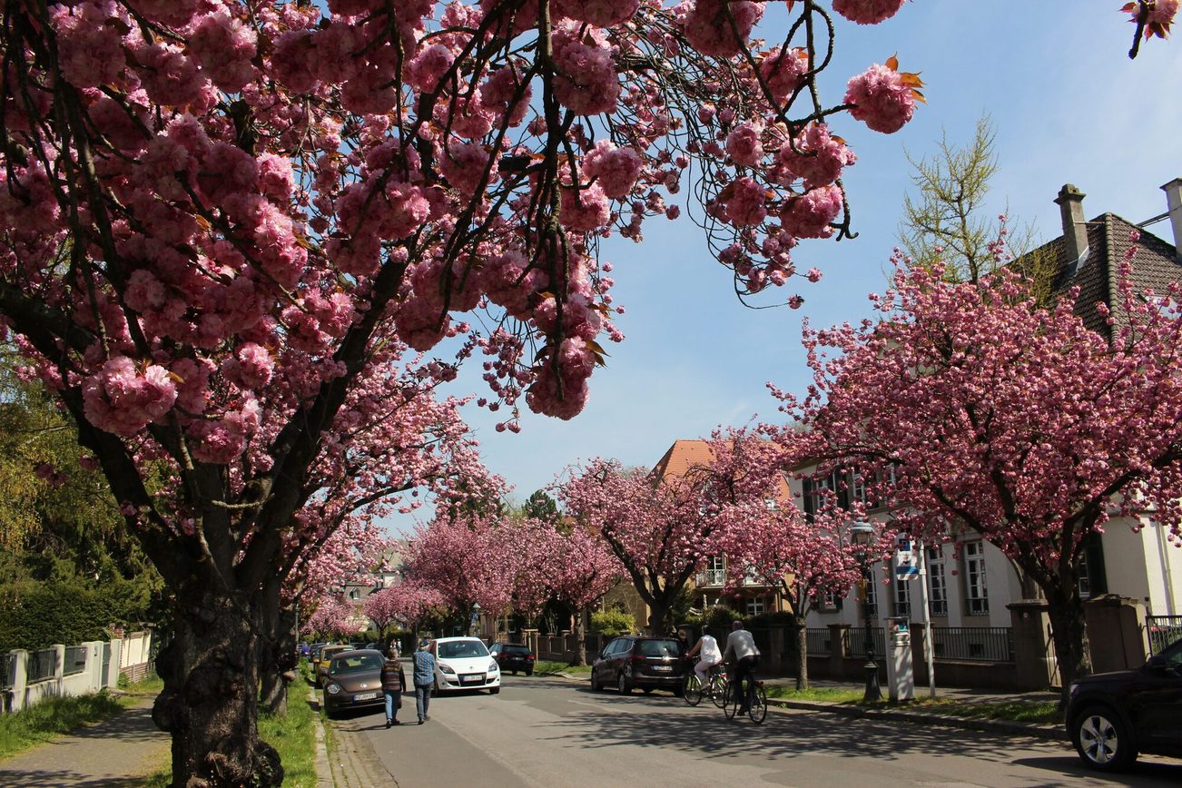 Ritterstraße w Moguncji