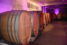 Weinfässer im Weingut Braunewell