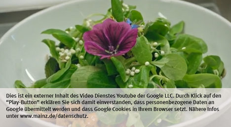 Die Landeshauptstadt Mainz nutzt den Video-Dienst Youtube. Vor einem Klick auf den Play-Button empfängt Youtube keine Daten und setzt keine Cookies. Nähere Informationen über Youtube finden Sie in den Datenschutzinformationen zu unserem Youtube-Kanal: www.mainz.de/datenschutz